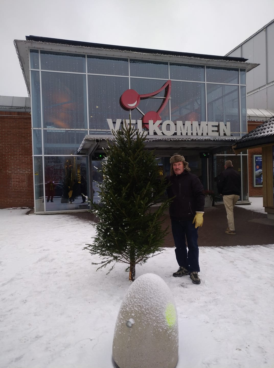 Salg av juletrær